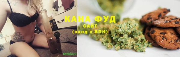 молекула духа Алексеевка