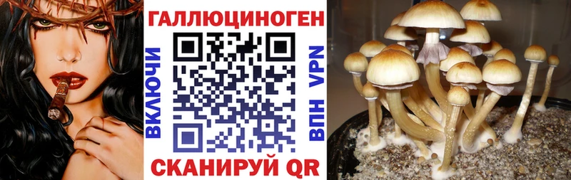 Псилоцибиновые грибы мухоморы  Менделеевск 
